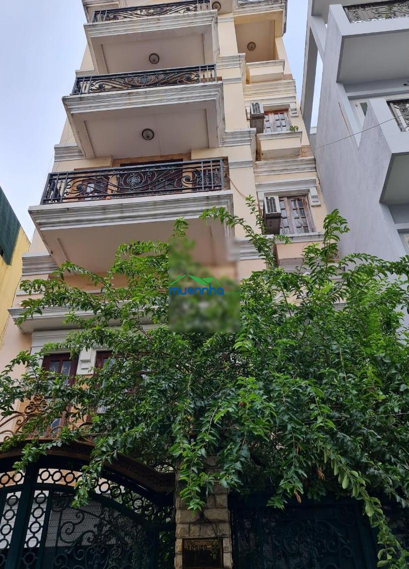 Chính chủ cần bán biệt thự 163/53-55 thành thái, p14, q10, ngang 6mx18m bán hầm 6 tầng chốt 21,9 tỷ - 3