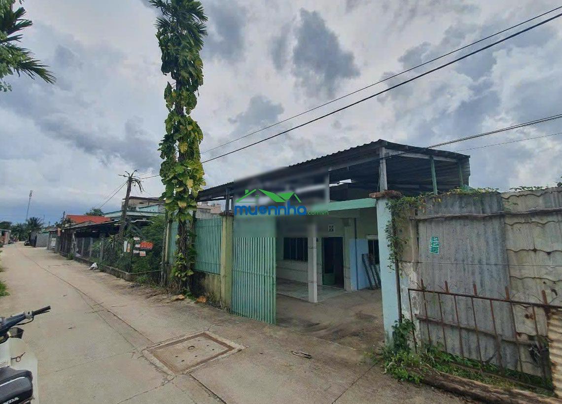 Nhà 2 mặt tiền đường vườn thơm, xã bình lợi, huyện bình chánh. dt: 9.5m (hậu 10.1)x 45m, 424m2 - 3