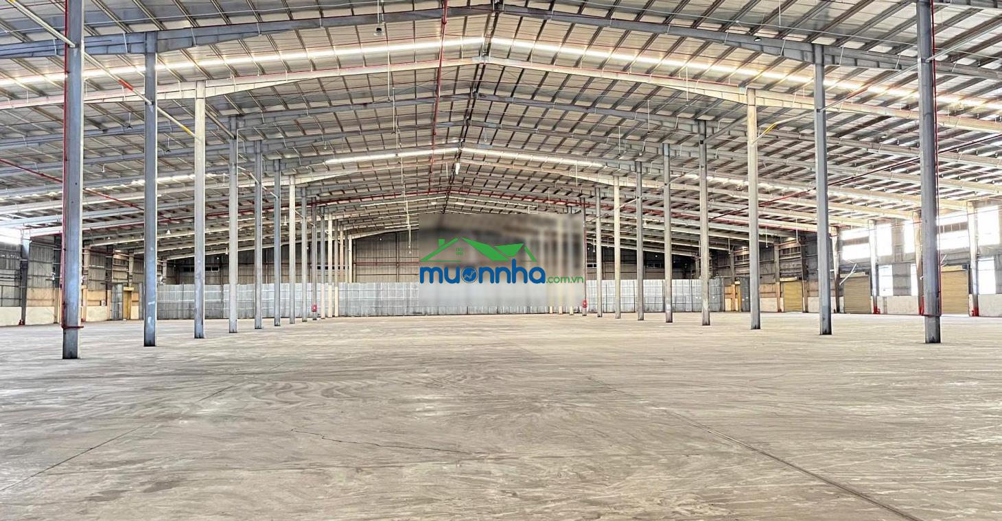 Cho thuê kho đạt chuẩn diện tích 10.000m2 tại thuận an