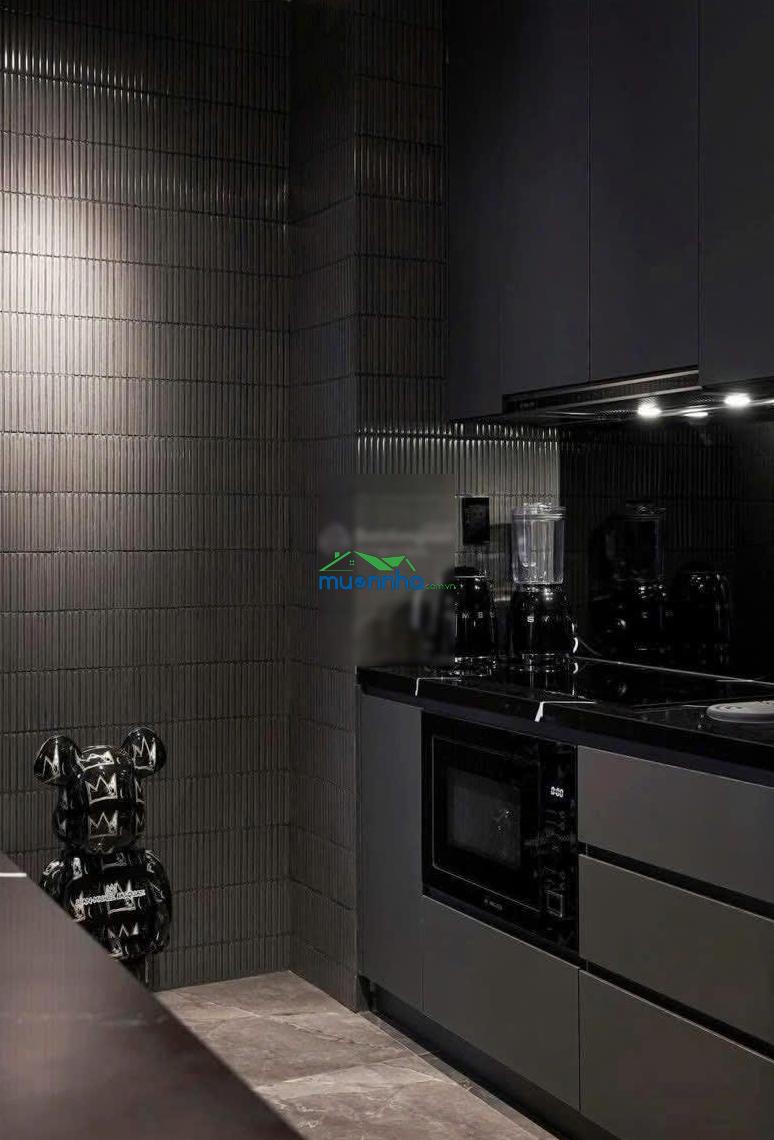 Cho thuê cc the tresor, 24 triệu, 75m2, 2pn, 2wc, đầy đủ tiện ích, q4, hcm - 3
