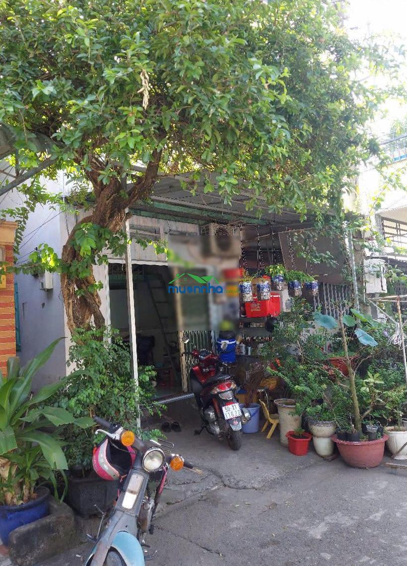 Chính chủ bán nhà cấp 4 đường nguyễn văn tăng, long thạnh mỹ, thủ đức (cũ), hồ chí minh