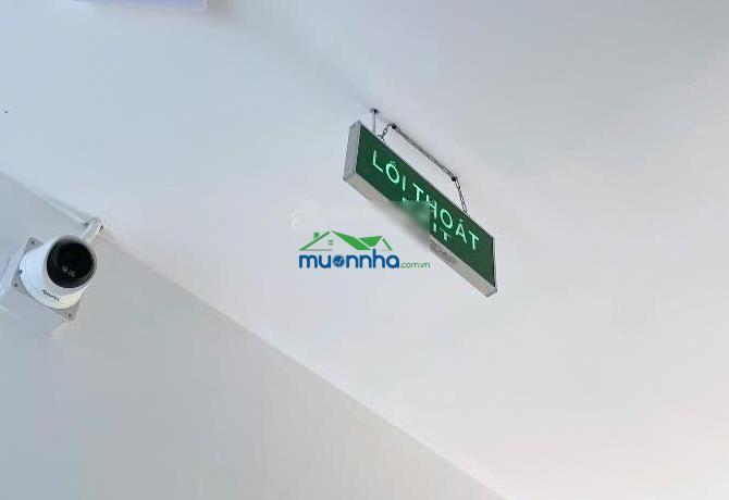 Bán chdv 2mt mới xây 5 tầng 37p 220m² dòng tiền 175 triệu/tháng ở ngã tư gò mây bình tân - 4