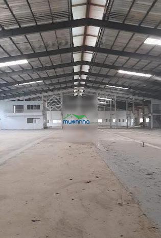 Kho xưởng cho thuê khu công nghiệp tân đông hiệp, dĩ an, bình dương, dt: 10,000m2