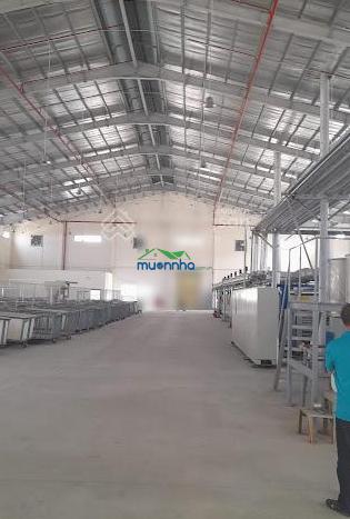 Kho xưởng cho thuê khu công nghiệp tân đông hiệp, dĩ an, bình dương, dt: 10,000m2 - 3