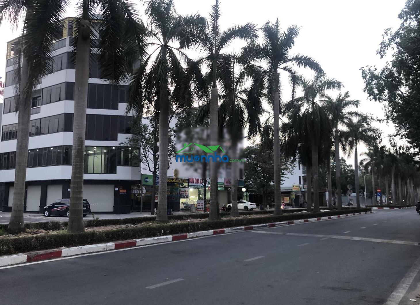 Chuyển công tác tỉnh, bán gấp đất thổ cư 285m2 mặt tiền đường nhựa mở rộng 32m nối đường vành đai 3