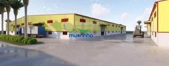 Cho thuê xưởng 5000m2, 287 triệu/tháng bàu bàng, 0907 838 ***