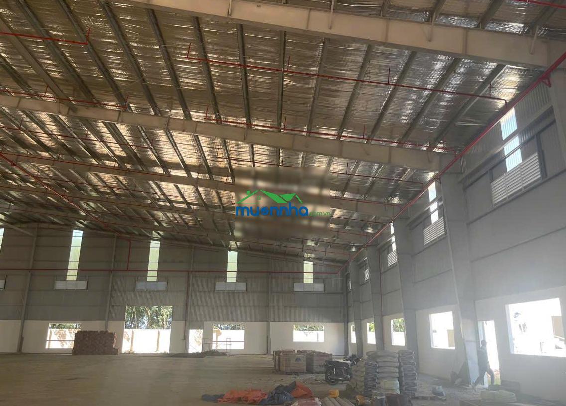 Cho thuê nhà xưởng kế kcn bàu bàng, tổng trên 20.000m2, cắt lẻ theo yêu cầu khách hàng