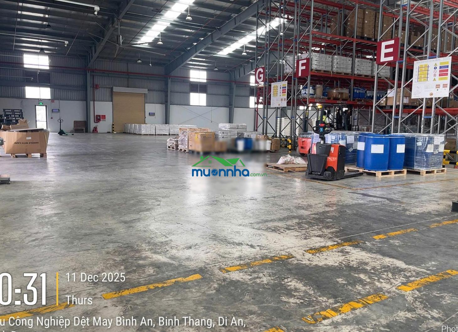 Cho thuê kho, kho linh hoạt, cfs, tại kcn dệt may - 2
