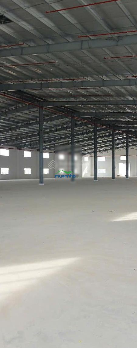 Cho thuê nhà xưởng mới, đẹp thủ dầu một tổng 39.000m2, thuê lẻ 2000m2, 2900m2, 3700m2, 4700m2, 6000 - 4