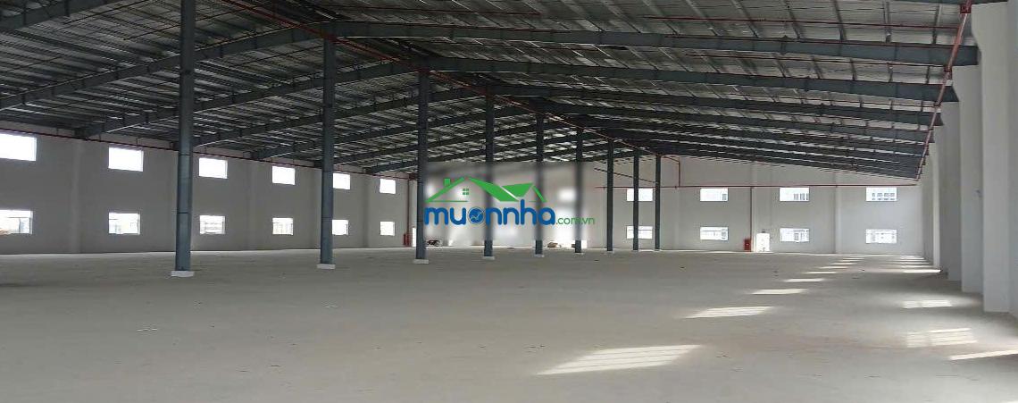 Cho thuê nhà xưởng mới, đẹp thủ dầu một tổng 39.000m2, thuê lẻ 2000m2, 2900m2, 3700m2, 4700m2, 6000