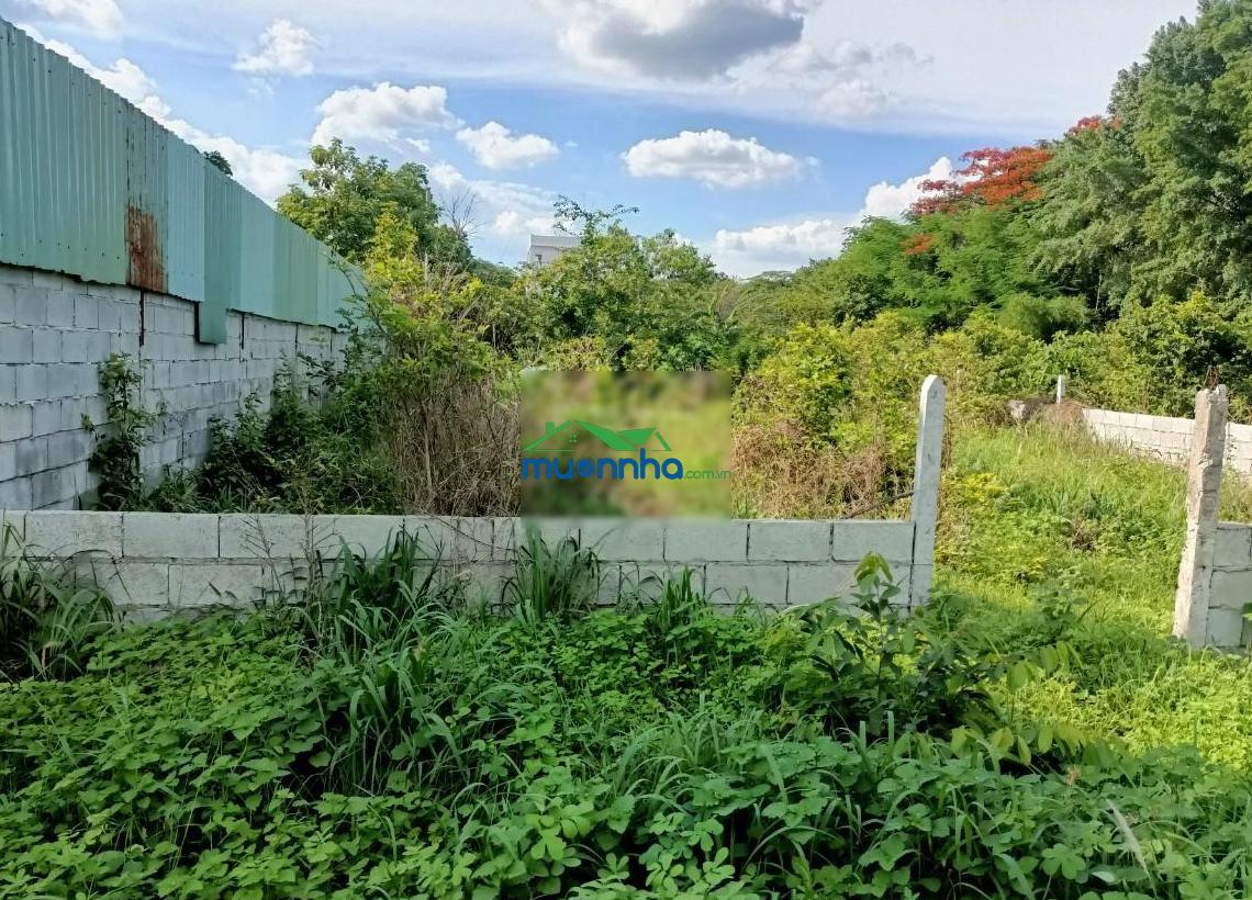 Đất củ chi ngang 11,6m khu dân cư hiện hữu, chính chủ - 2
