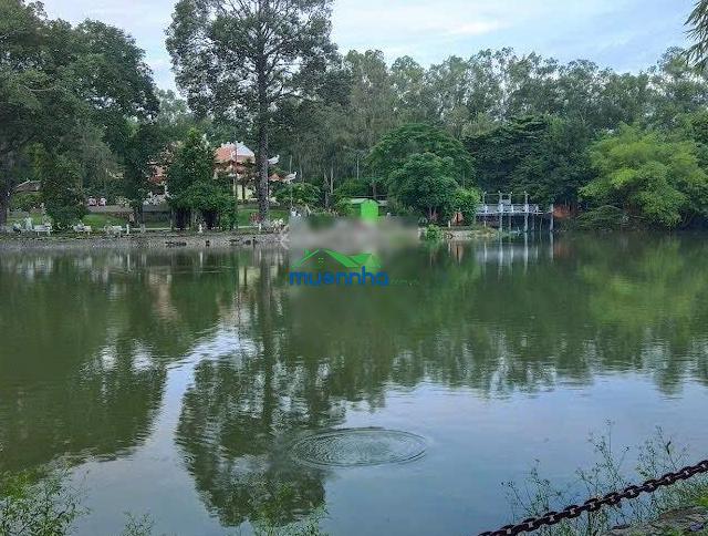 Nhà đẹp căn góc 2 mặt tiền hẻm ôtô cách mạng tháng 8, quận 3, 96m2 5 tầng, ngang 5.2m,giá 25.3 tỷ - 4