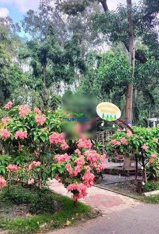 Nhà đẹp căn góc 2 mặt tiền hẻm ôtô cách mạng tháng 8, quận 3, 96m2 5 tầng, ngang 5.2m,giá 25.3 tỷ - 2