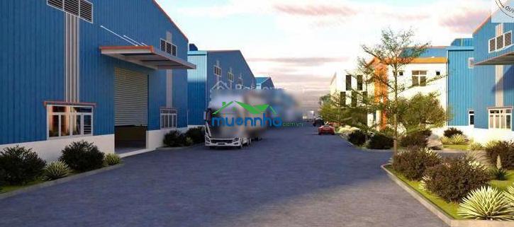 Cho thuê nhà xưởng hội nghĩa, tổng diện tích 49.752m²