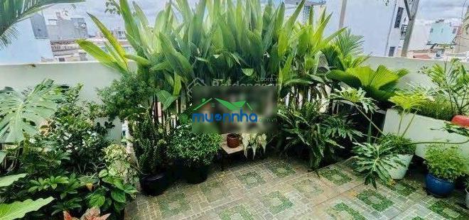 Bán nhà hẻm 6m hồ đắc di - ngang 5x18 - nhà 1t2l sân thượng - giá 8ty9 tl - 2