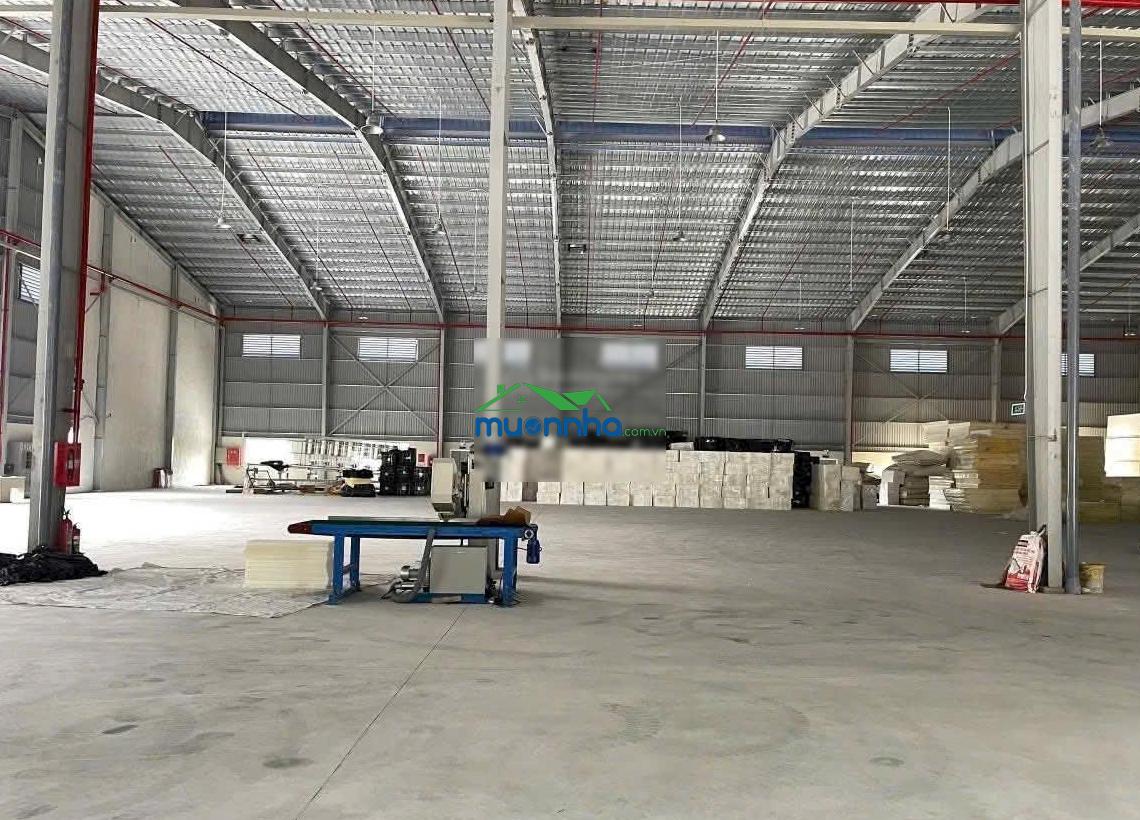 Cho thuê kho xưởng 10.000m2 dĩ an (có cho thuê lẻ) - 3