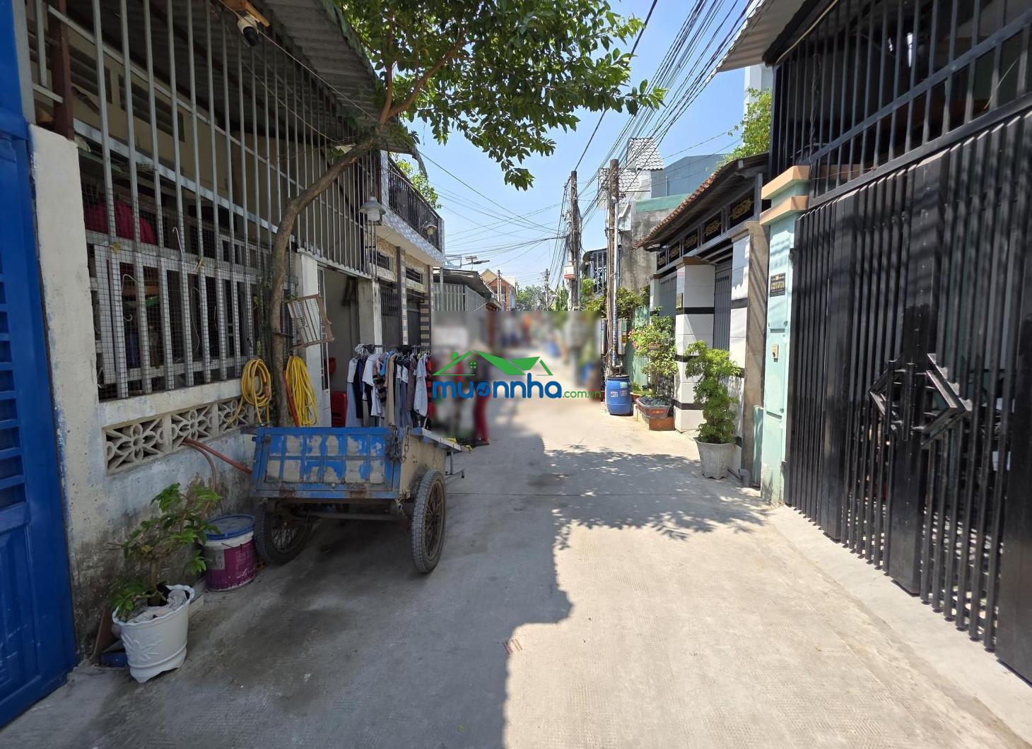 Bán đất 318m2 ngang 10m tặng nhà kho xưởng gần ngã tư chiêu liêu, phường tân đông hiệp, tp dĩ an - 3