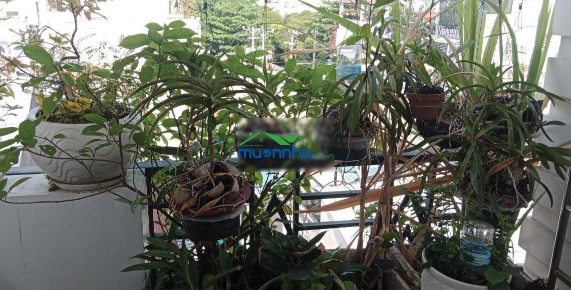 Nhà riêng chỉ 4,8 tỷ ở ni sư huỳnh liên, p.10, q.tân bình, hàng hiếm tại giá tốt - 3