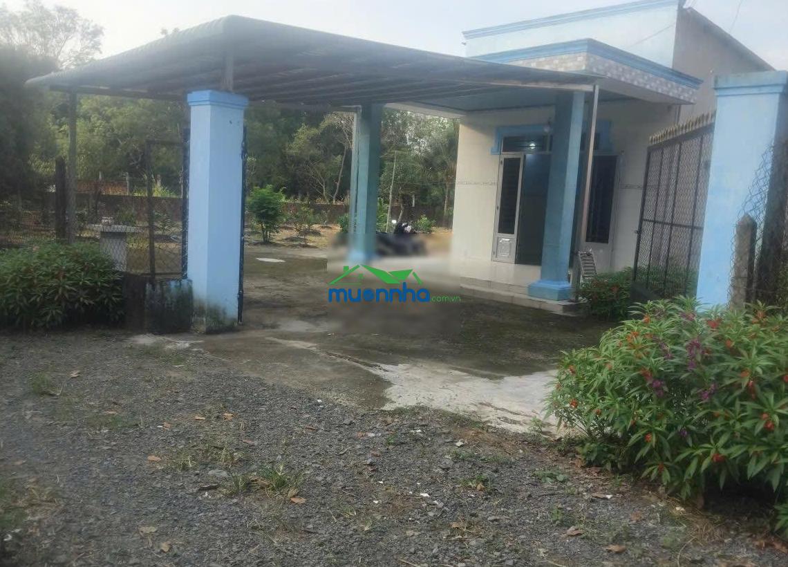 Bán nhà có vườn trái cây 1400m2 thổ 100m2 tại 1/ bùi thị lành, bình mỹ giá ngộp 5,3 tỷ - 2