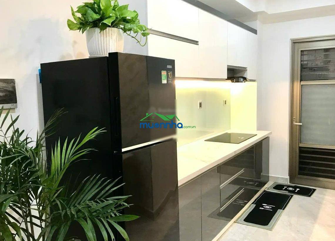 Cho thuê căn hộ the park midtown phú mỹ hưng q7, 2pn, full nội thất, giá 25tr/th