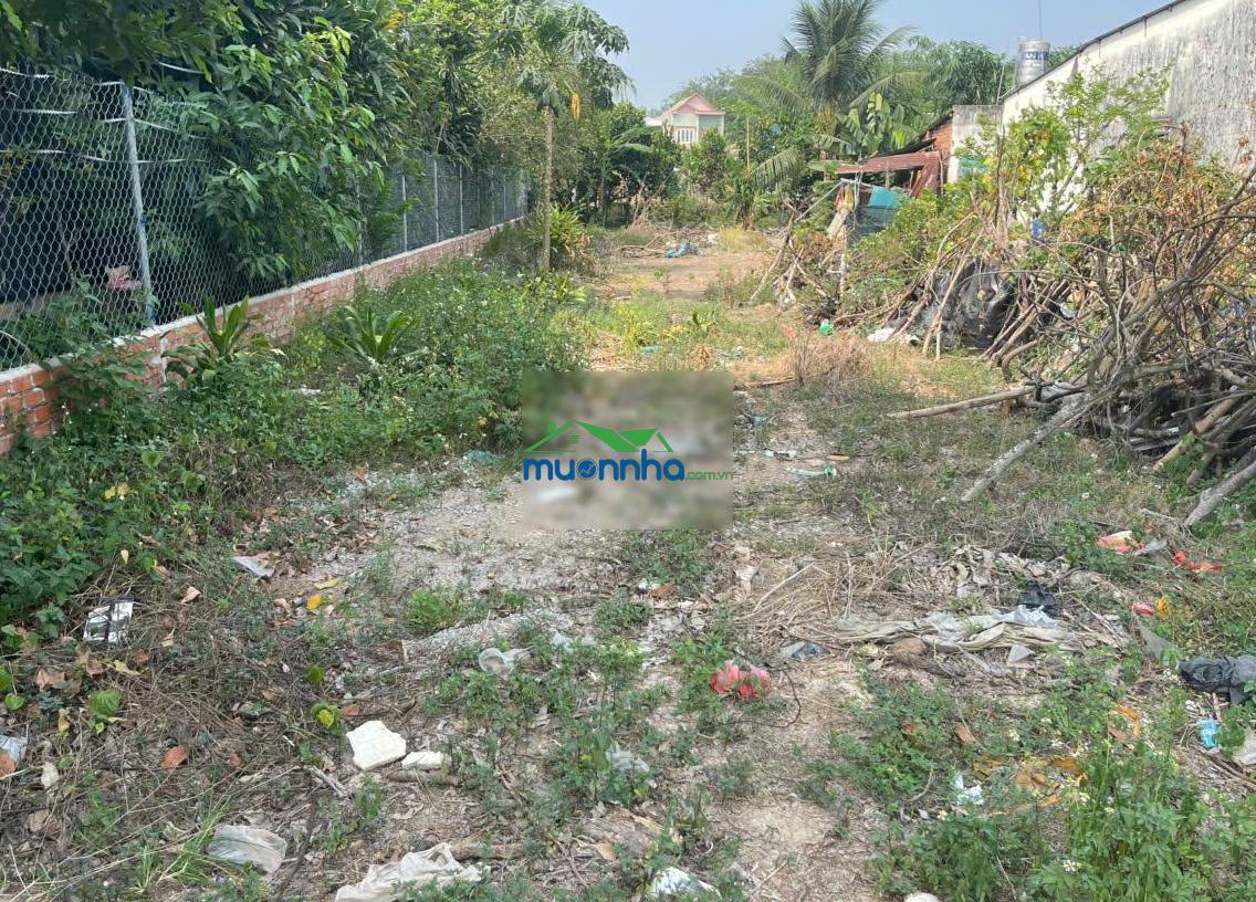 Chính chủ gửi bán đất 278.4m² gần full thổ cư - tân định 16, bắc tân uyên