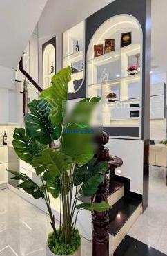 Siêu phẩm ngộp giá cần bán đường cống quỳnh - quận 1 71,6m2. ngay ngã 5 cống quỳnh - 2