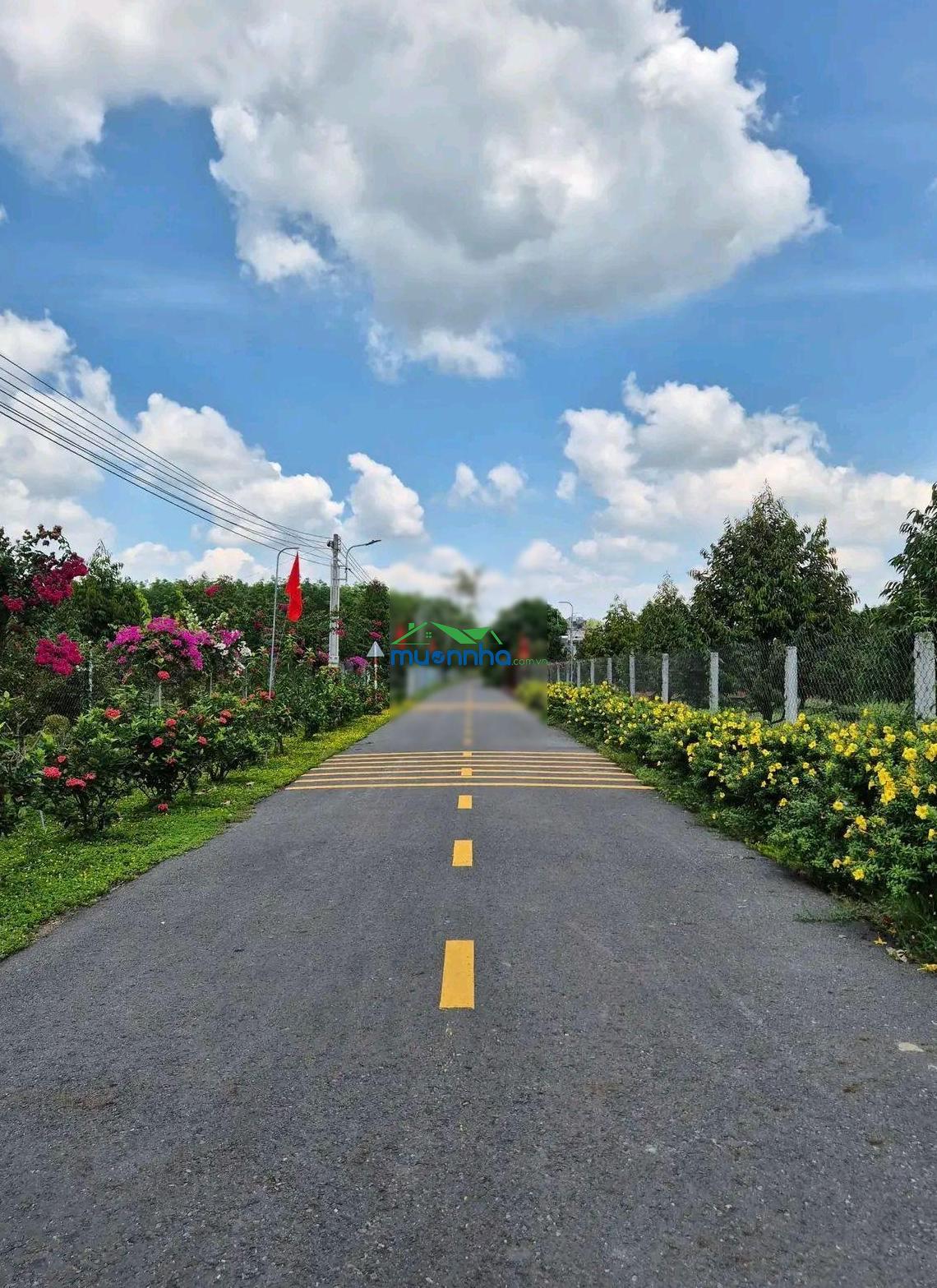 Bán đất tại dh507, an long, phú giáo giá 510 triệu, 277m2 bao đẹp - 2