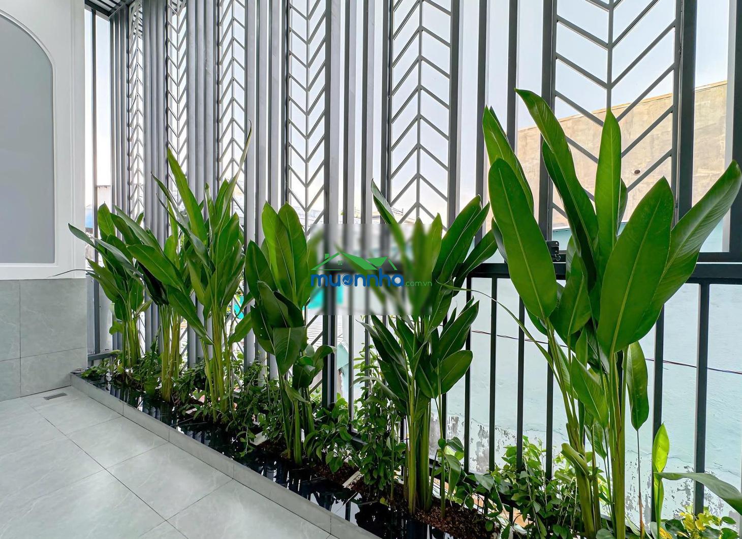 Nhà đẹp full nội thất trần xuân soạn, quận 7 - 2