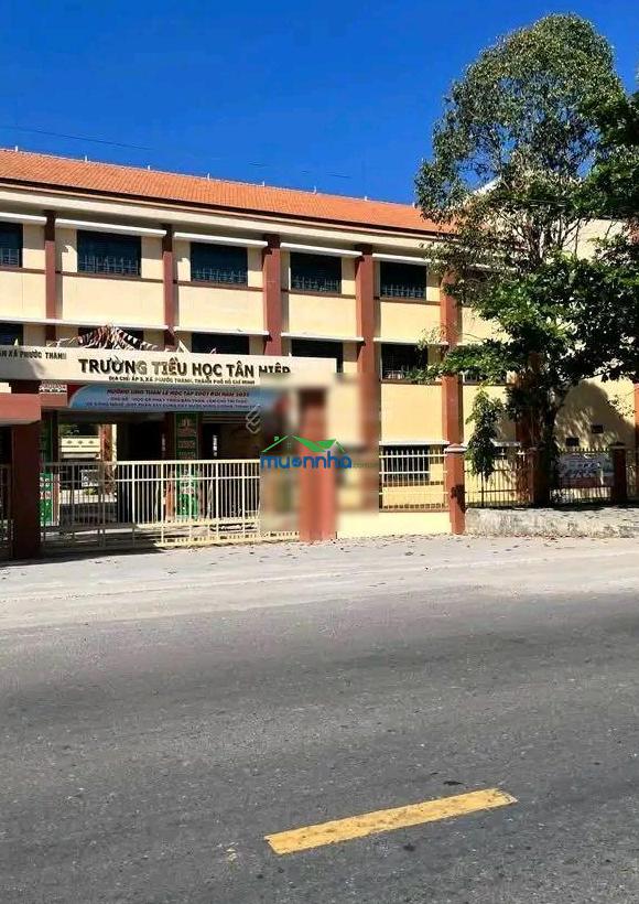 Bán đất tại dh511, tân hiệp, phú giáo, 500 triệu, 205m2, giá siêu hời