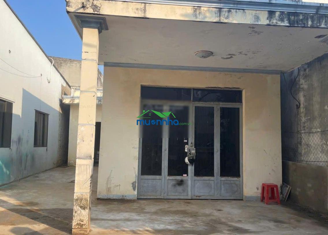 Bán nhà đất mặt tiền 8m không bị lộ giới full thổ cư thích hợp làm biệt thự vườn hay căn hộ dịch vụ - 3