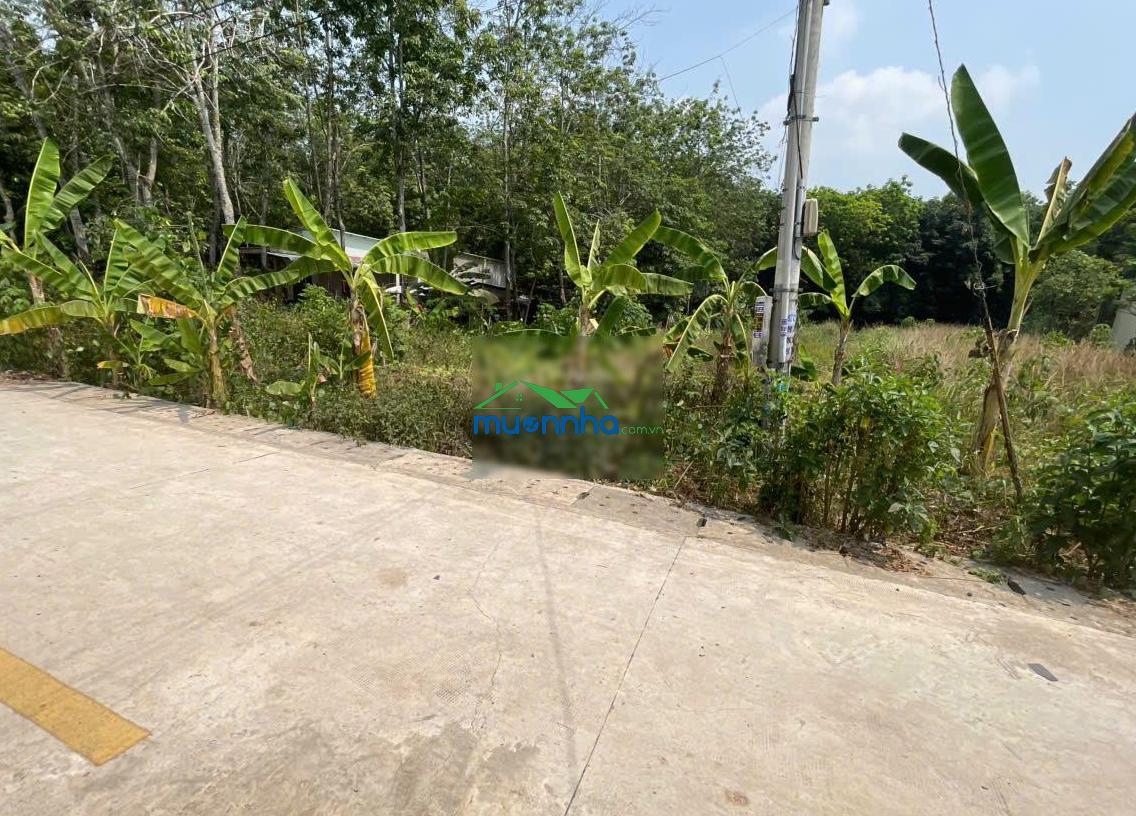 Chính chủ gửi bán đất tân thành 56 full thổ cư (708.5m² ngang 12m đất rộng đẹp)