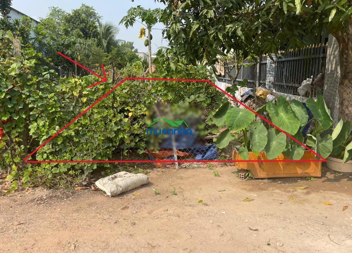 Chính chủ bán đất tân định 16 (283.1m² - gần full thổ cư - ngang 6m)