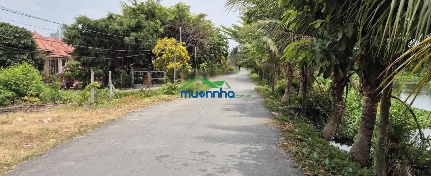 Cho thuê xưởng mặt tiền vĩnh phú 42 - 2