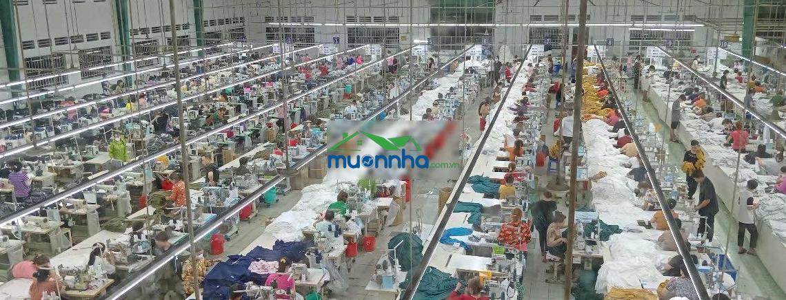 Cho thuê 5500m2 xưởng may định hoà, thủ dầu một, tổng khuôn viên 15000m2