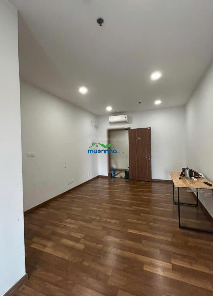 Cho thuê căn hộ pegasuite 1 dạng officetel tạ quang bửu, q8.