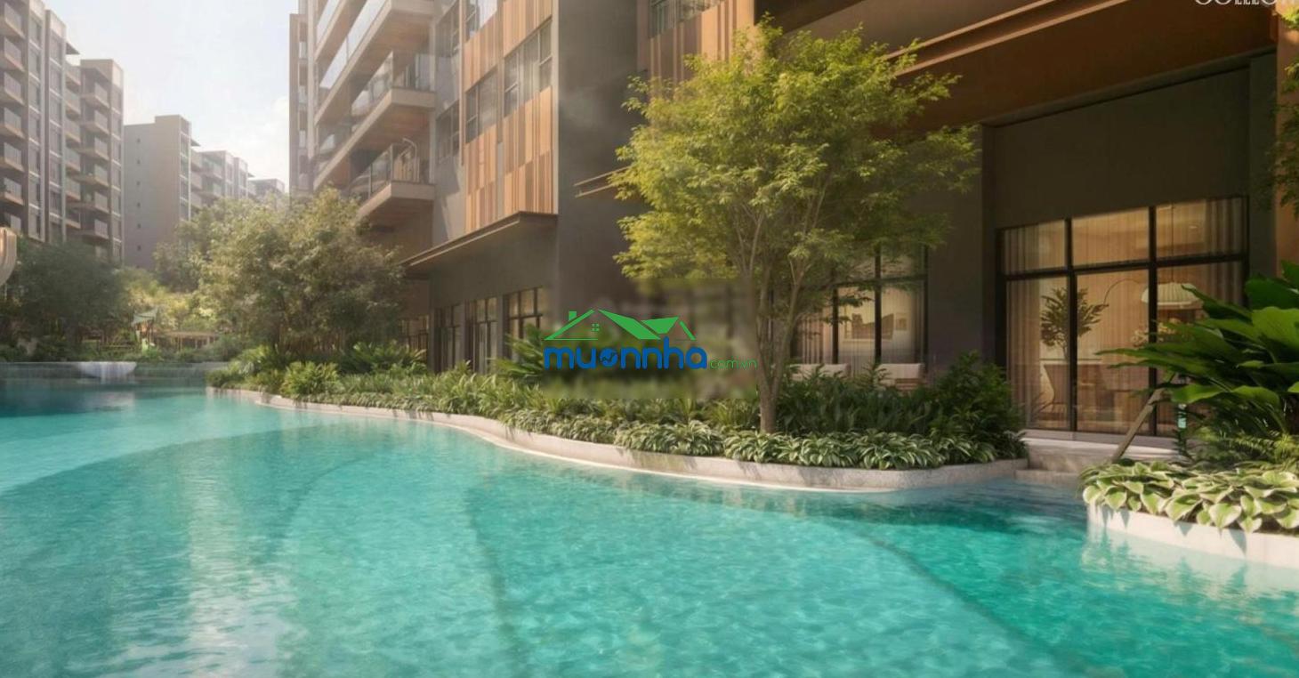 Chỉ từ 300 triệu sở hữu căn hộ cao cấp 2pn view sân vườn tại orchard collection sycamore