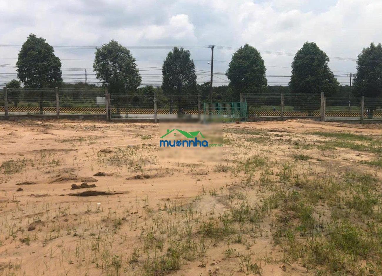 Cơ hội đầu tư hiếm: 55.338m² mặt tiền ql13 pháp lý minh bạch thương lượng trực tiếp