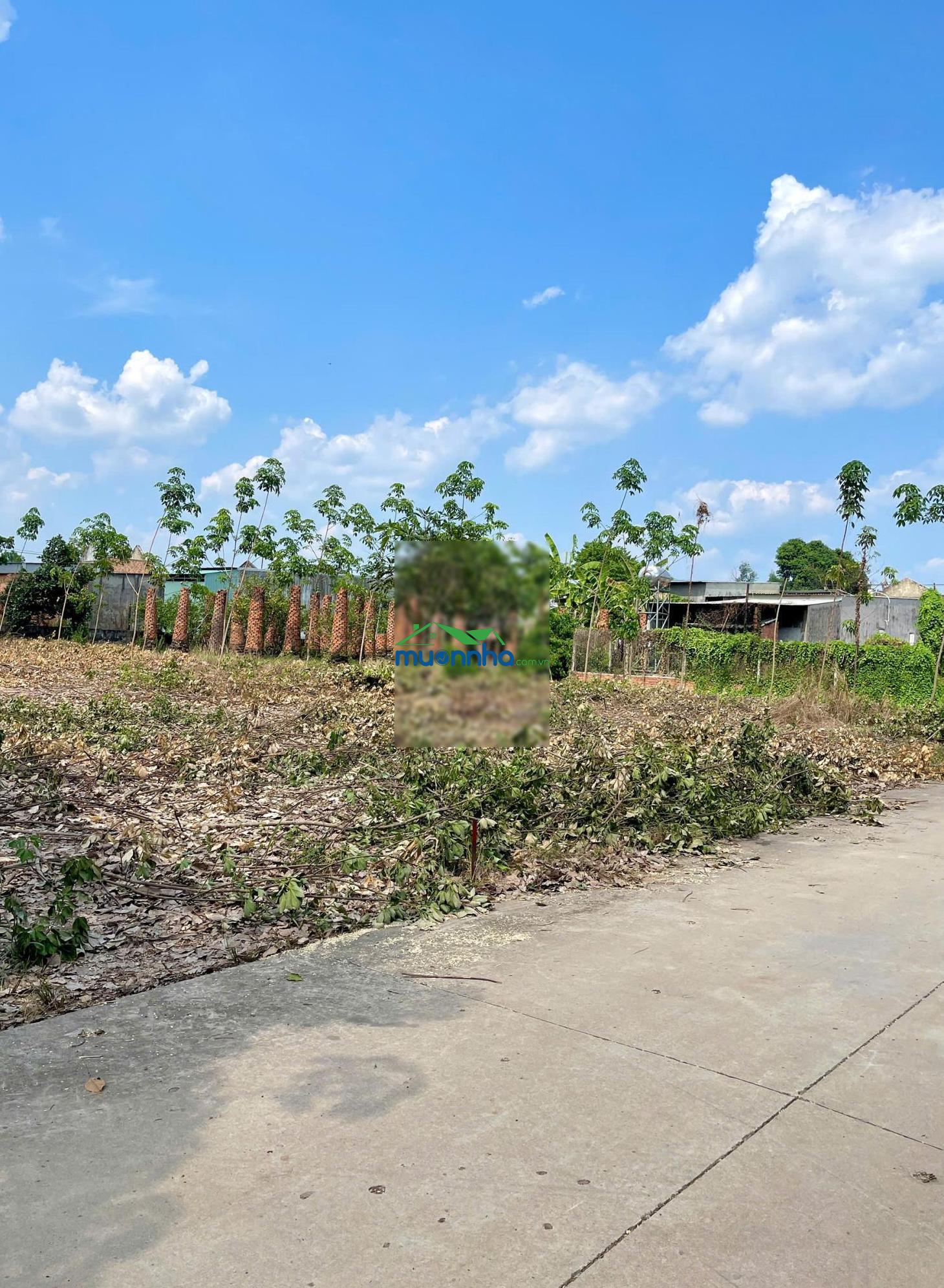 Cậu thịnh gửi bán lô 230m2 ngay đầu đường dh507, giáp chợ, ra cao tốc hcm chỉ 4km giá: 650tr (tl)