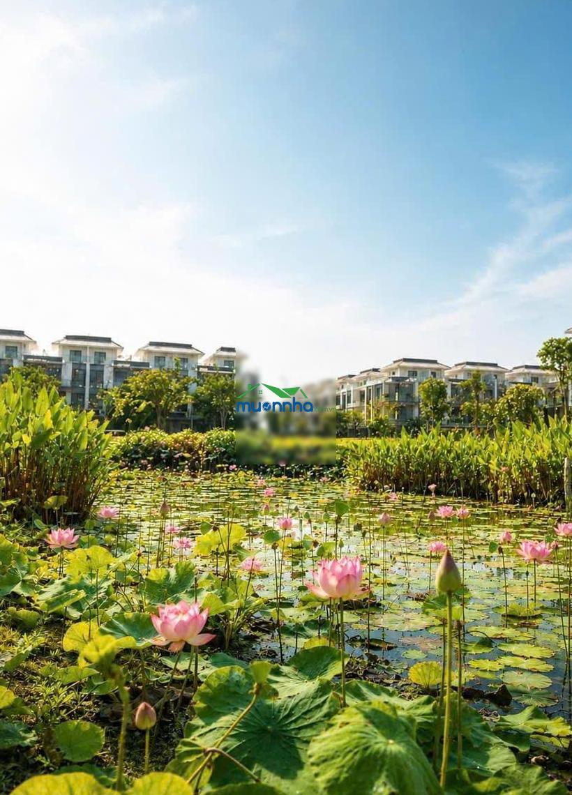 Nhà phố gladia khang điền giáp 3 mặt sông quận 2, giá chỉ 26 tỷ - 4