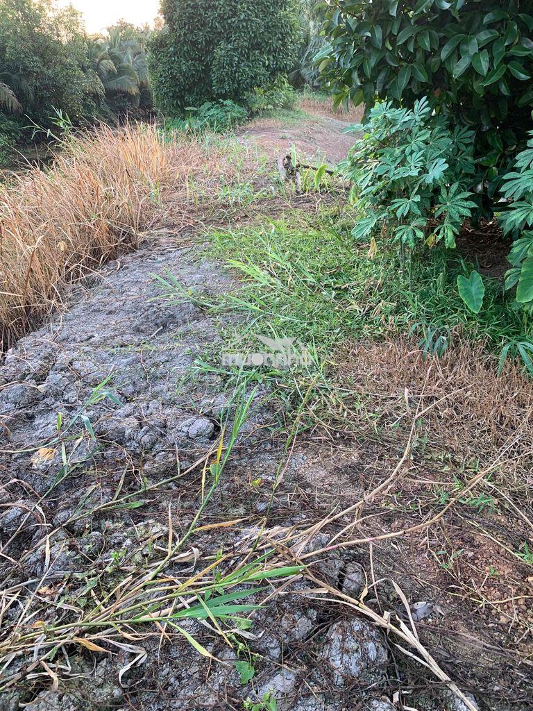 Bán 635m2 đất thuộc phường tân an cũ, tp hồ chí minh
