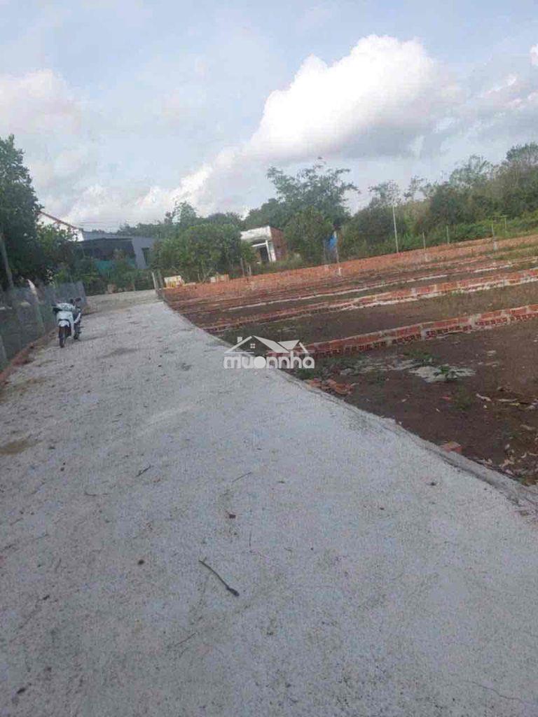 Cần bán đất ngay khu dân cư  đường bê tông