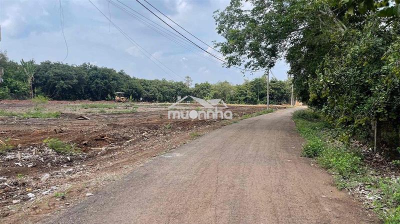 Kẹt tiền bán gấp 100m2 thổ cư toàn bộ,p bình lộc,tp đồng nai