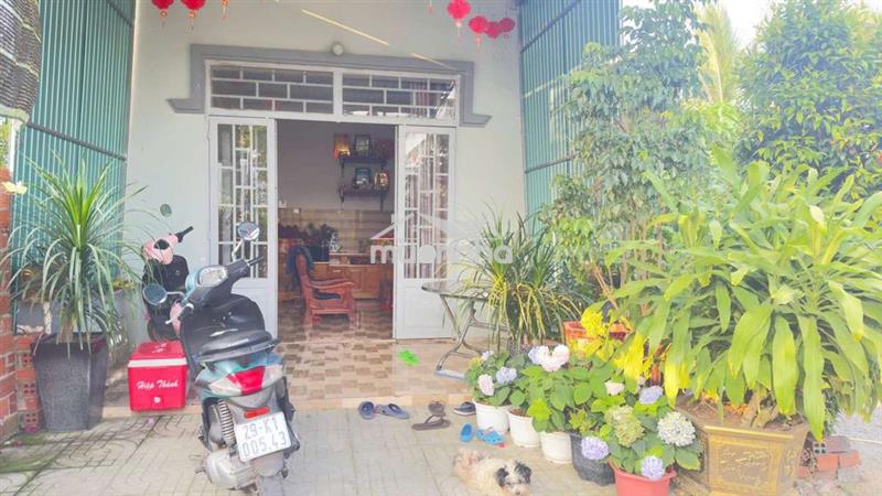 💥 Chỉ 2.3 tỷ – sở hữu ngay 351m² đất + nhà mới 💥