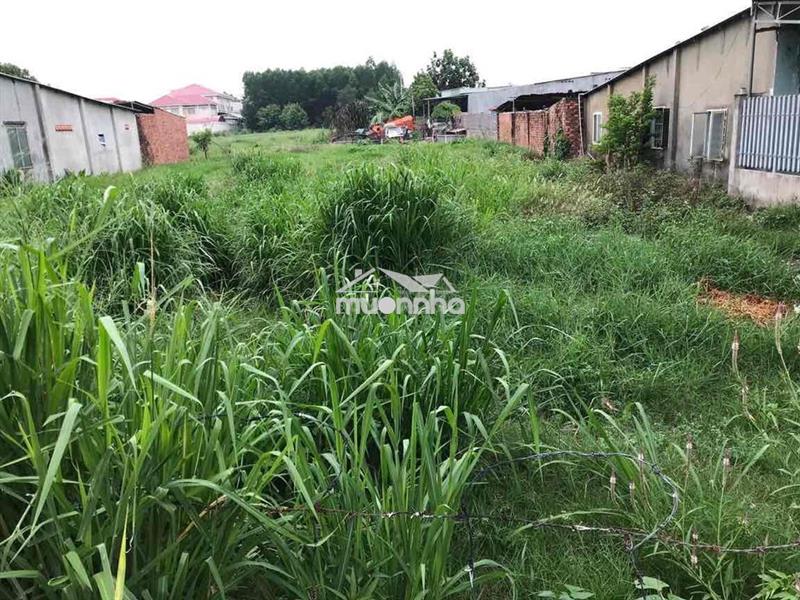 KDC XÃ PHƯỚC THÁI CÁCH QL51 500 M NGAY VÀNH ĐAI 3