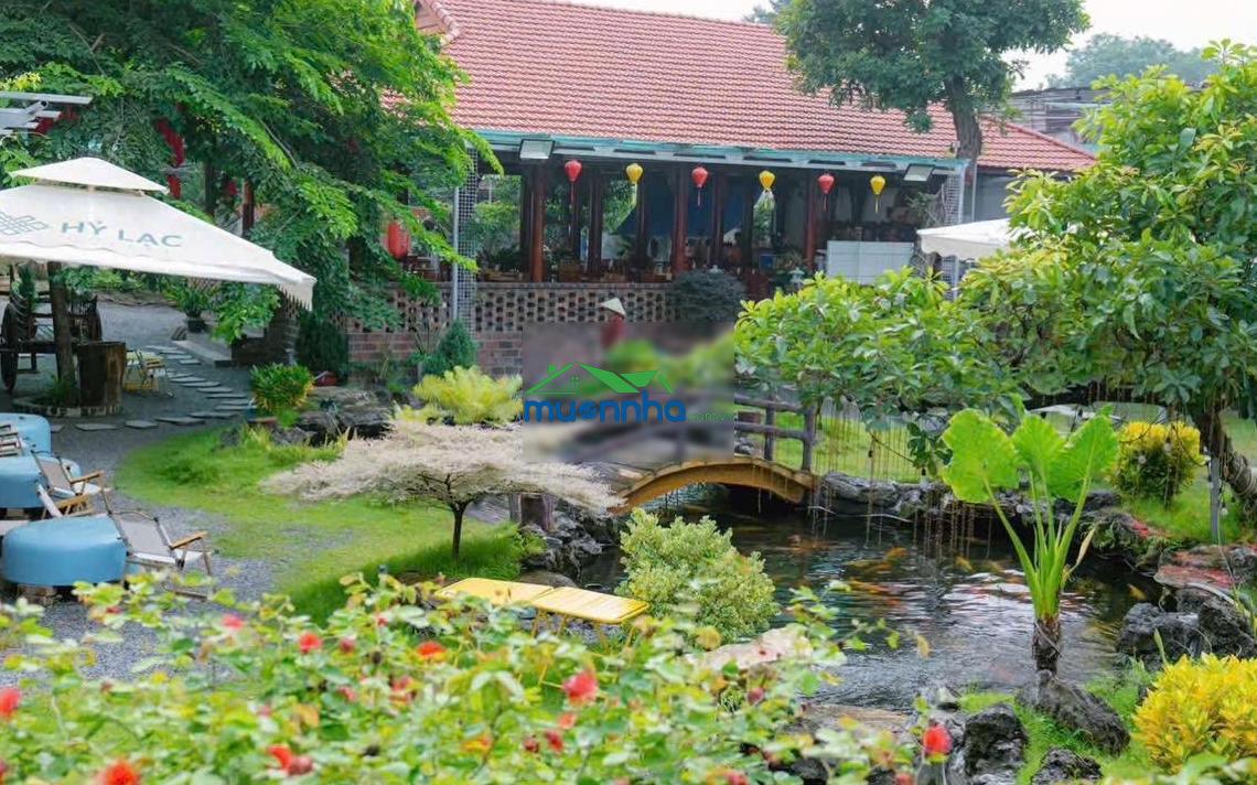 Mặt bằng kinh doanh 1500m2 thủ dầu một , gần 30/4 sẵn nhà gỗ , phòng lạnh ,cây cảnh