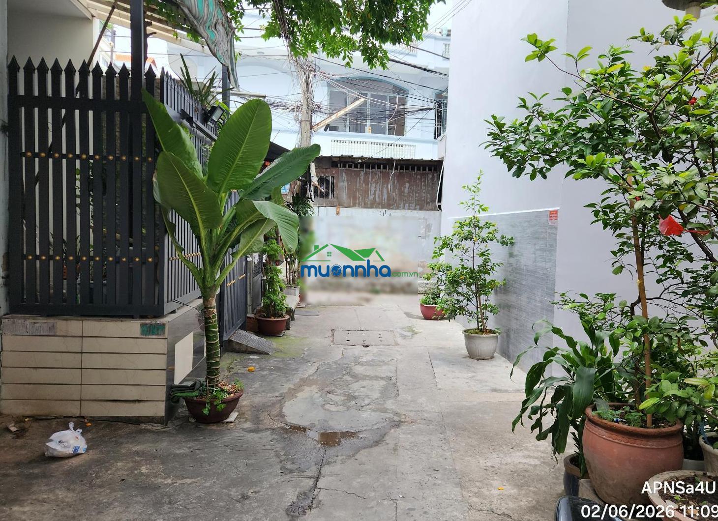 Nhà lê đức thọ (p16, q gò vấp cũ) - 43m², 3pn, hẻm xh. pl chuẩn, giá chỉ 5.3 tỷ thương lượng