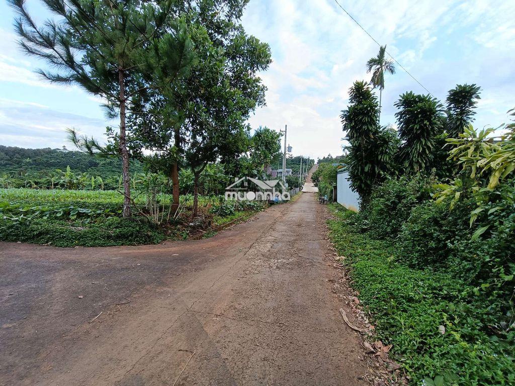 Bán đất gần chợ lộc an - 3