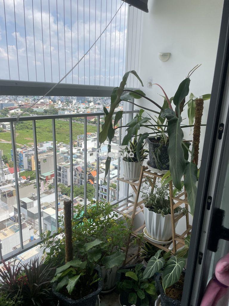 Ctl tham lương-2pn-2wc có sổ giá 3,6ty - 4