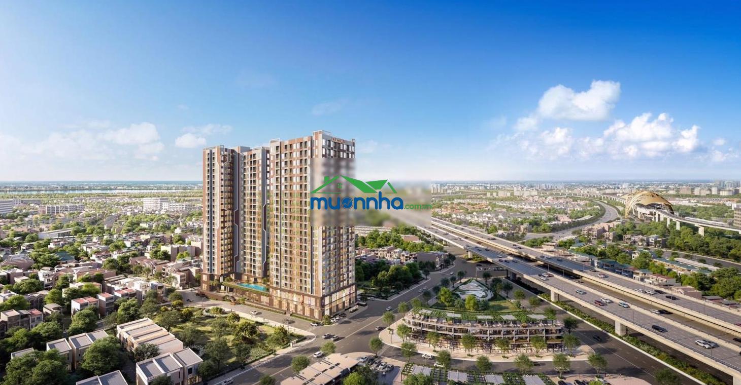 Chỉ còn 15 suất ưu đãi cuối cùng: đăng ký sớm fenica nhận ngay gói quà tặng 60 triệu - 3