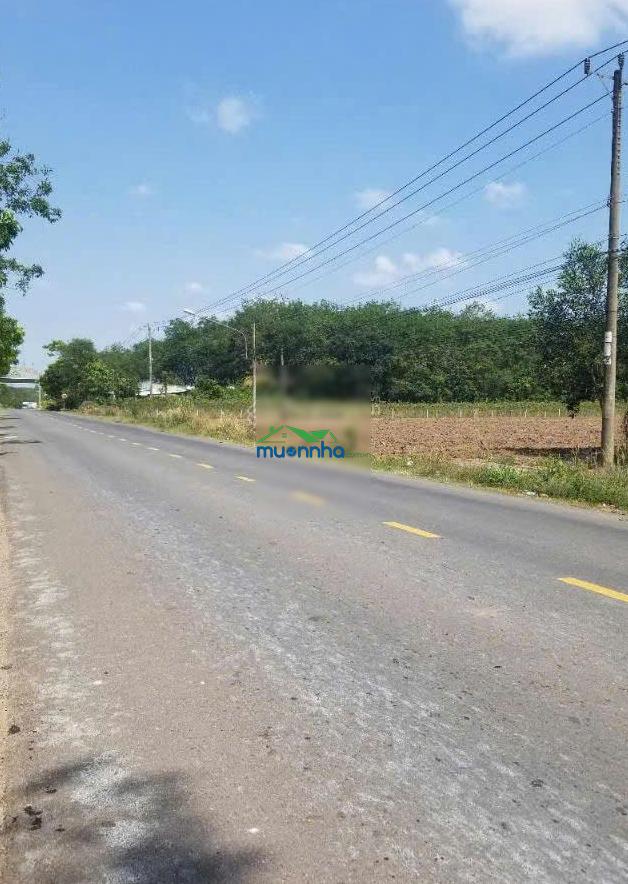 Bán 1.018m2 đất mặt tiền đường đh sát kcn an linh 1.000ha giá chỉ 800 triệu - 4